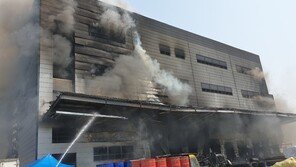 검찰, 이천 화재참사 관계자 9명 구속영장 청구