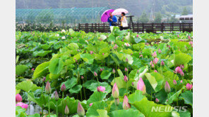[날씨]18일 낮기온 30도 안 넘는다…남부엔 많은 비