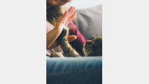 반려동물 키우는 취약계층 어르신들 “외로워서”