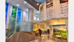 영월 ‘한반도습지 생태문화관’ 시범운영