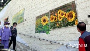 벽화로 바뀐 노후 옹벽