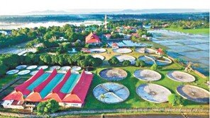 3000만원 투자로 월 100만원 수익… 국내 최대 장어양식장 투자자 모집