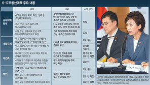 규제지역 갈아타기 1주택자, 기존 집 안팔려도 ‘대출 6개월내’ 입주해야