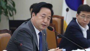 이 와중에…김두관 “평양·서울에 연락사무소 2개 두자”