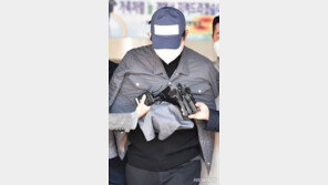 ‘라임-정계 연결고리 의혹’ 스타모빌리티 대표 체포