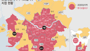 ‘6·17 부동산 대책’ 대전·청주 위축…세종은 반사이익
