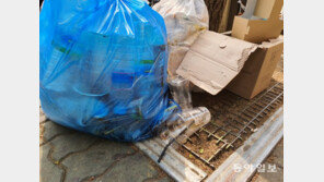 “당분간 머그컵 안돼요”…코로나 이후 늘어가는 1회용 쓰레기