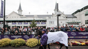 마사회, 민간업체에 ‘케이닉스’ 기술 지원