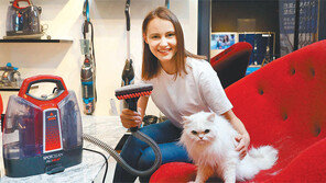 반려동물 털도 깔끔하게 흡입하는 청소기