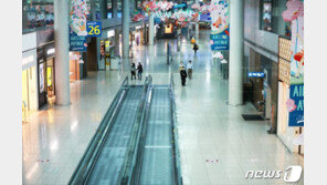 반값 명품백 ‘줍줍’…면세 3사, 다음주 ‘눈물의 재고정리’