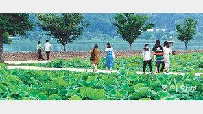 초록빛 싱그러움 속으로…