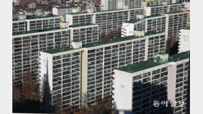 잠실-대치 등 재건축 ‘거주이전의 자유-재산권 침해’ 논란