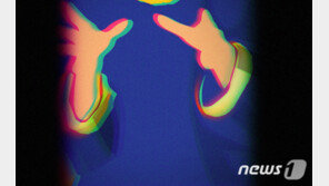 ‘노모·아들 살해 뒤 장롱유기’ 40대 “모친 죽일 의도 없었다”