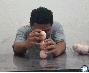 [영상]“따라하지 마세요” 계란 3개 수직 쌓기 기네스 성공