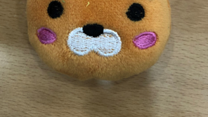 라이언·펭수가 왜이렇게 못생겼어?…밀수품 1117억원 어치 적발