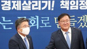 “인력 총동원해 전단 살포 막겠다”…경찰청장, 與원내대표에 이례적 보고