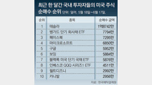 “美증시 떨어질때 사자” 개인투자자들 ‘해외주식 직구’ 붐