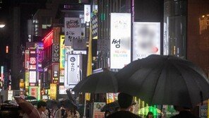 룸살롱 풀어준 서울시, 다른 이유 있었나?