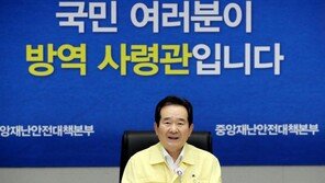 丁총리 “확진자 많은 나라, 비자·항공편 일시 제한 필요”