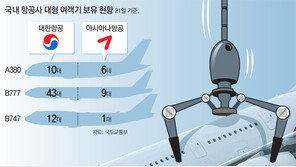 ‘하늘위 호텔’서 ‘돈먹는 하마’로… 대형기 줄퇴장