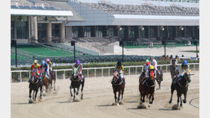 코로나에 관중 없이… 다시 달리는 경마