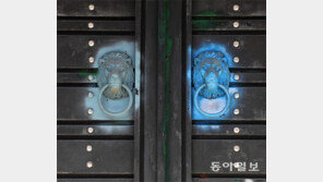 사자가 지킨다[고양이 눈]