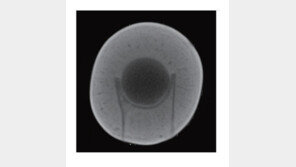 전국 박물관 소장 소형 총통 300점 중 16점 가짜일 가능성