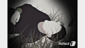 인천 계양구 한 수로서 60대 남성 숨진 채 발견…경찰, 조사