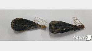 러시아서 ‘웅담’ 밀반입·판매한 다국적 일당 6명 검거