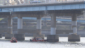 ‘한강 남아 시신’ 용의자 8개월만에 구속…“친모로 추정”