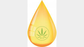 의료용 대마, 오일로 먹어도 될까