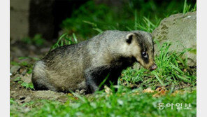 “제2의 코로나 막으려면 사람-동물 통합관리 시스템 필요”