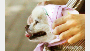 [날씨]23일 ‘낮 34도’ 땡볕 계속…오후 흐려져 24일부터 장마