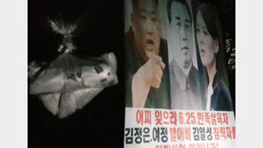 탈북민단체 “어젯밤 대북전단 기습 살포…2000불 날렸다”