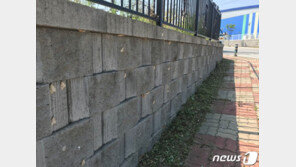 과수화상병 이어 매미나방 창궐 제천…행인·어린이 불안감 호소