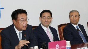 정진석 “나 혼자 국회의장석에 앉을 순 없어”…국회부의장직 포기 시사