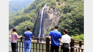 더위 식혀주는 인공폭포