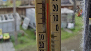 시베리아 38도 폭염에 유엔도 나서…“온난화 우려”