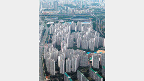 “유주택자, 잠실-대치동 집 사려면 구청에 전입 이유 소명해야”