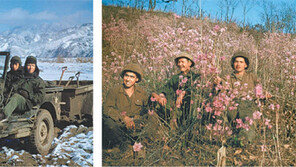 “6·25 전장서 찍은 사진, 역사가 될 줄이야”