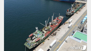 방역당국 안이했나? 하선 않는 조건 ‘전자검역’이 화 불러