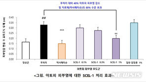 피부주름·아토피·지방간 고치는 국산 약콩나왔다