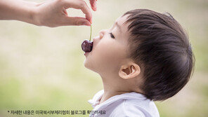 미국북서부체리협회, 국내 소비자 대상 사진&UCC 공모전 개최