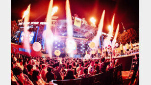 대구 대표축제 치맥페스티벌, 너 마저…‘코로나19’ 여파로 결국 취소