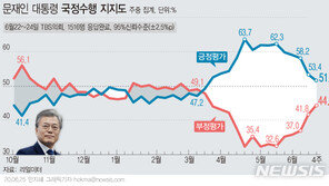 文대통령 지지율 5주 연속 하락…긍정 51.6% 부정 44.5%