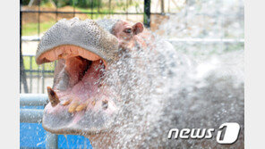 장마 뒤 7월말 ‘장기폭염’ 가능성…“그늘 밑도 숨이 턱”
