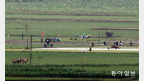 6·25전쟁 70년 후, 강화도서 바라본 北주민들 모습은…[청계천 옆 사진관]