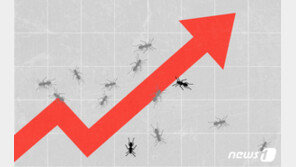 ‘소액주주 양도세 부과’에 성난 개미들…“누가 주식하겠나”