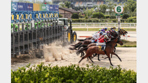 경주수·우수마 선발체계 손 본다