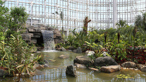 세종시에 국내 최대 ‘사계절 수목원’ 들어선다